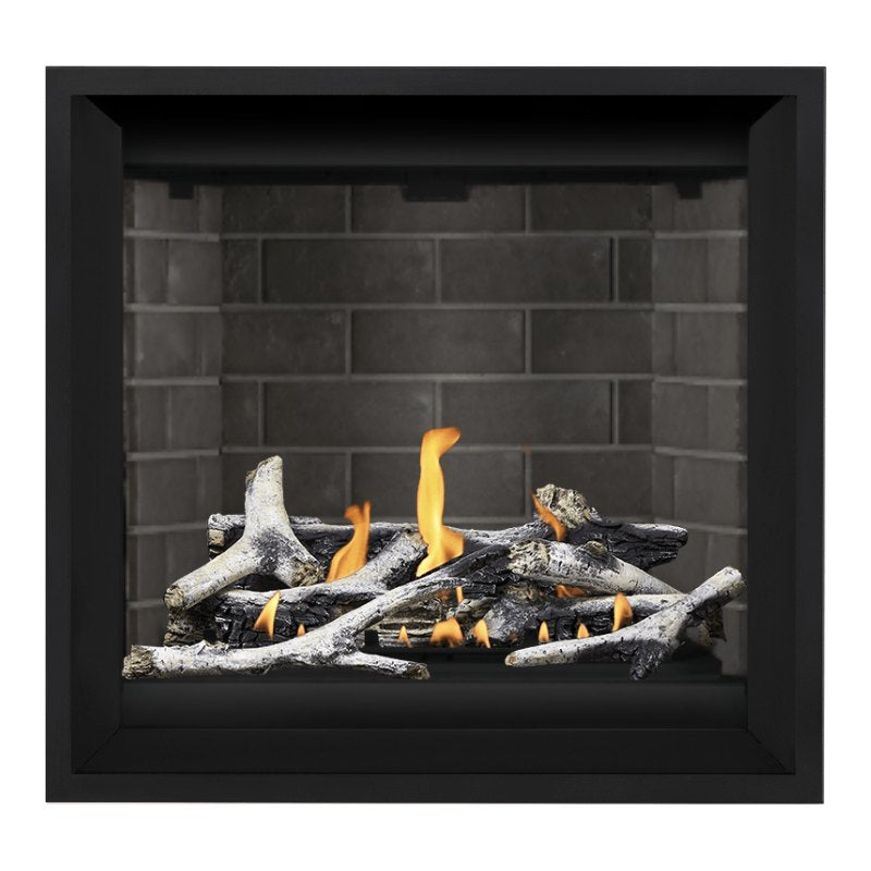 Napoleon Altitude X 36" Direct Vent Fireplace | AX36-1