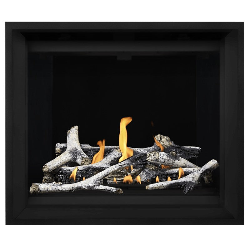 Napoleon Altitude X 42" Direct Vent Fireplace | AX42-1