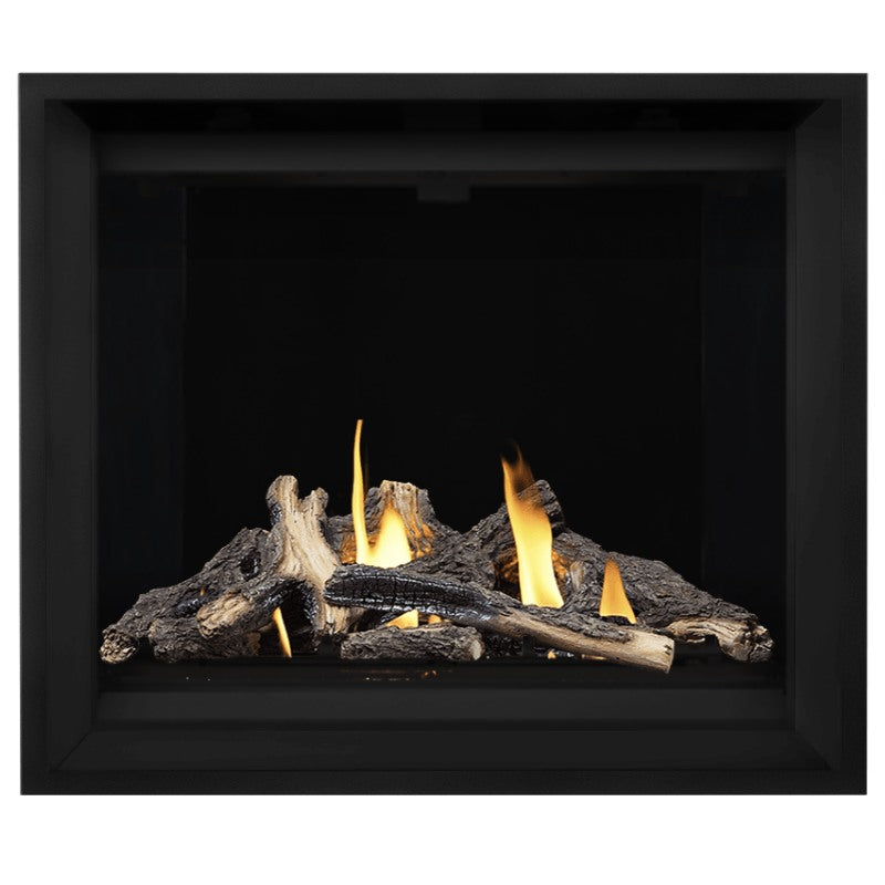 Napoleon Altitude X 42" Direct Vent Fireplace | AX42-1