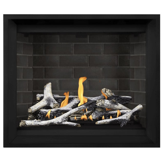 Napoleon Altitude X 42" Direct Vent Fireplace | AX42-1