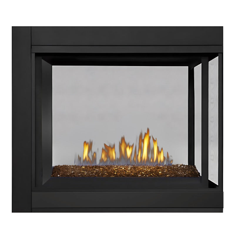 Napoleon Ascent Multi View See Thru Direct Vent Gas Fireplace | BHD4