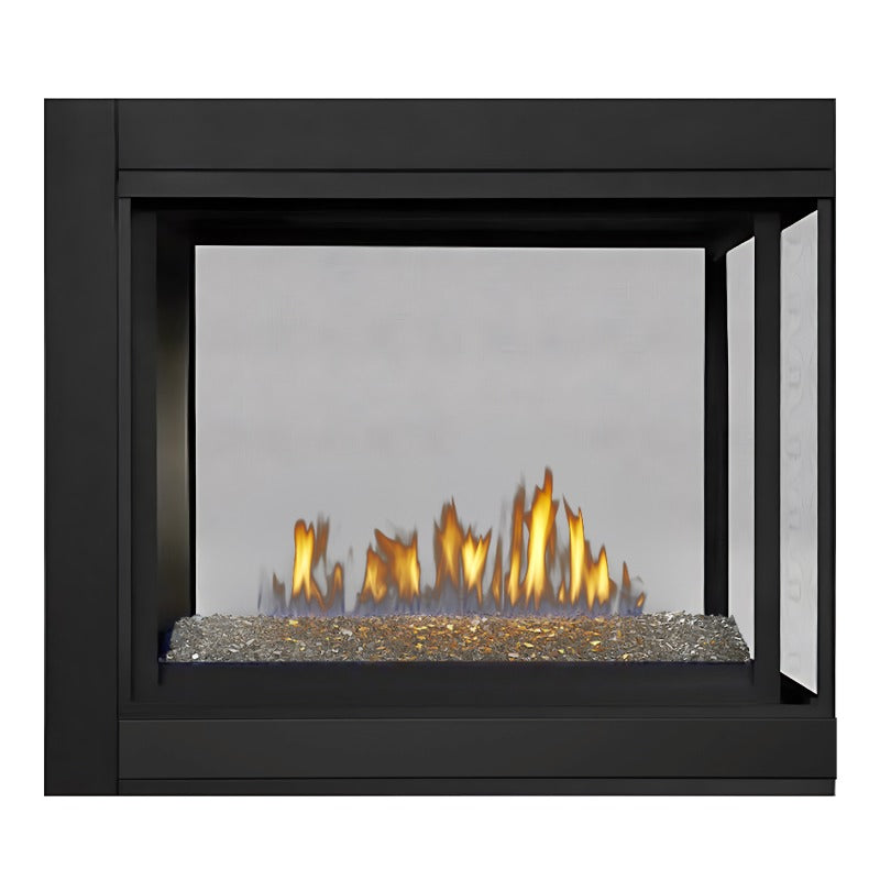 Napoleon Ascent Multi View See Thru Direct Vent Gas Fireplace | BHD4