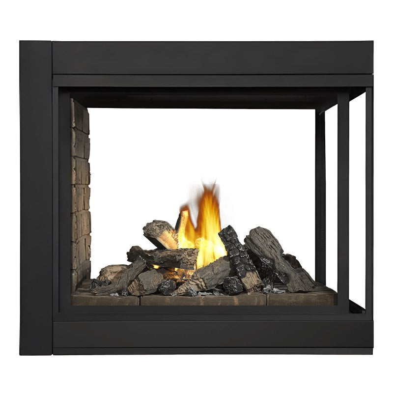 Napoleon Ascent Multi View See Thru Direct Vent Gas Fireplace | BHD4