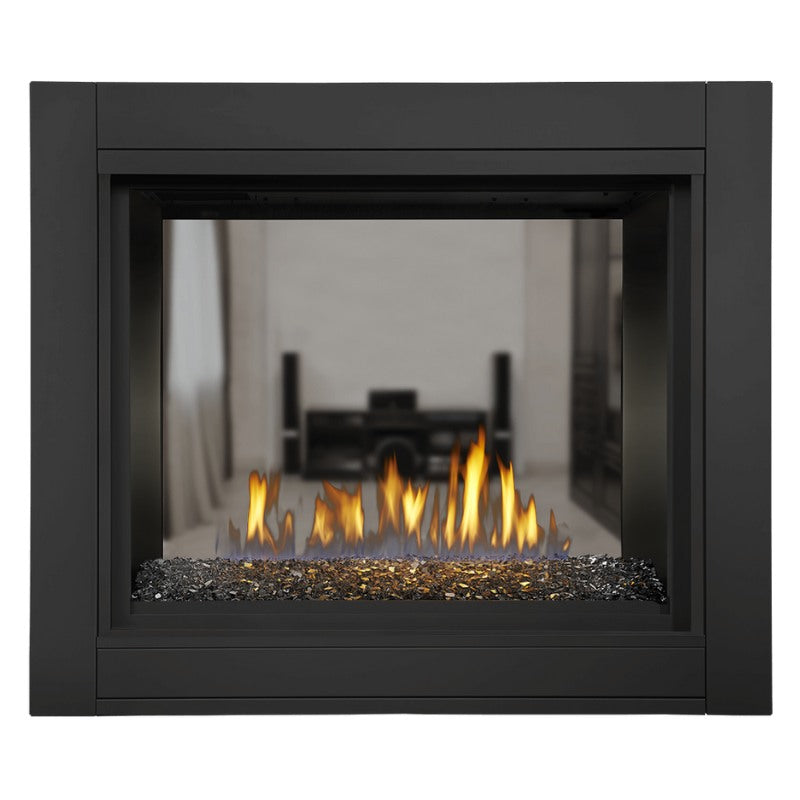 Napoleon Ascent Multi View See Thru Direct Vent Gas Fireplace | BHD4