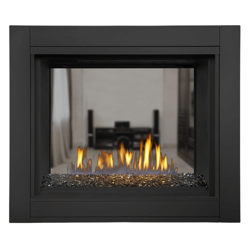 Napoleon Ascent Multi View See Thru Direct Vent Gas Fireplace | BHD4