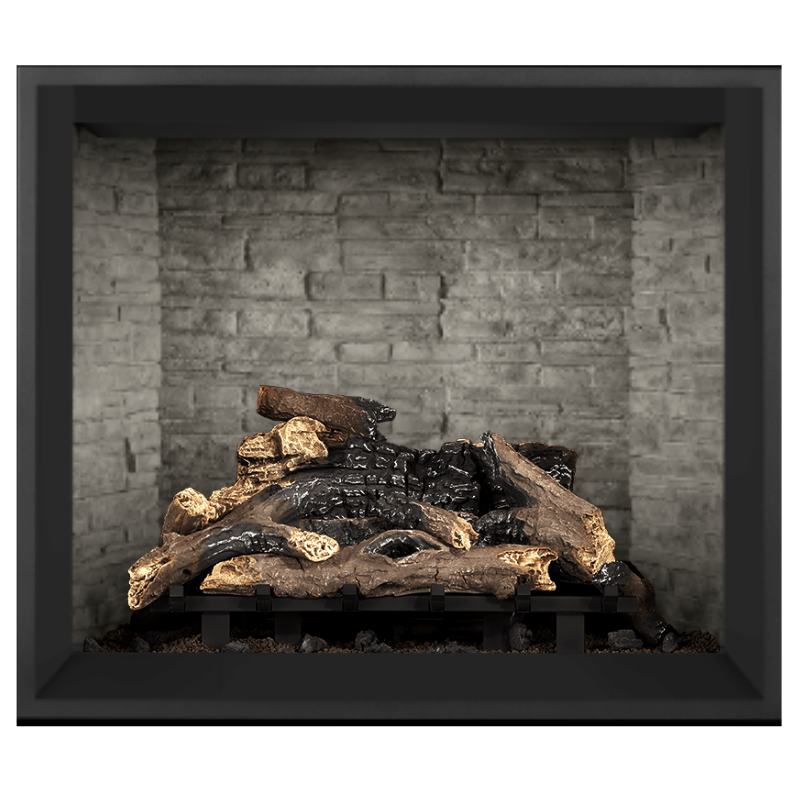 Napoleon Elevation 42" Direct Vent Fireplace | E42