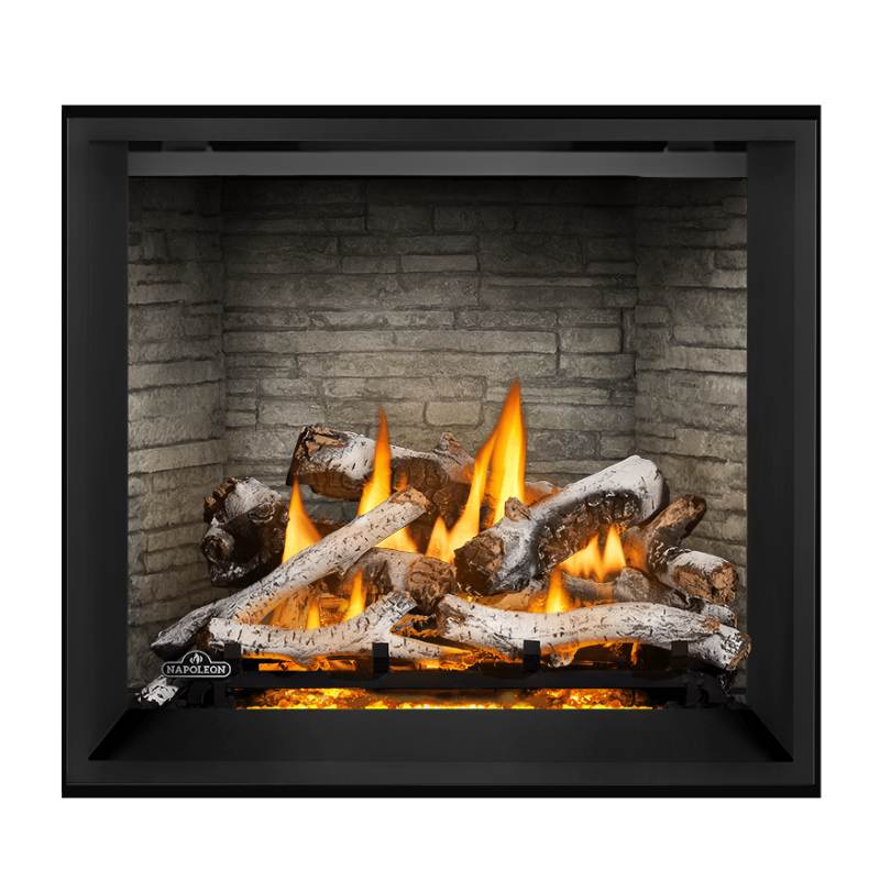 Napoleon Elevation X 36" Direct Vent Fireplace | EX36