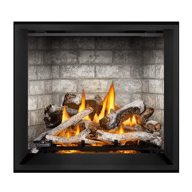 Napoleon Elevation X 36" Direct Vent Fireplace | EX36