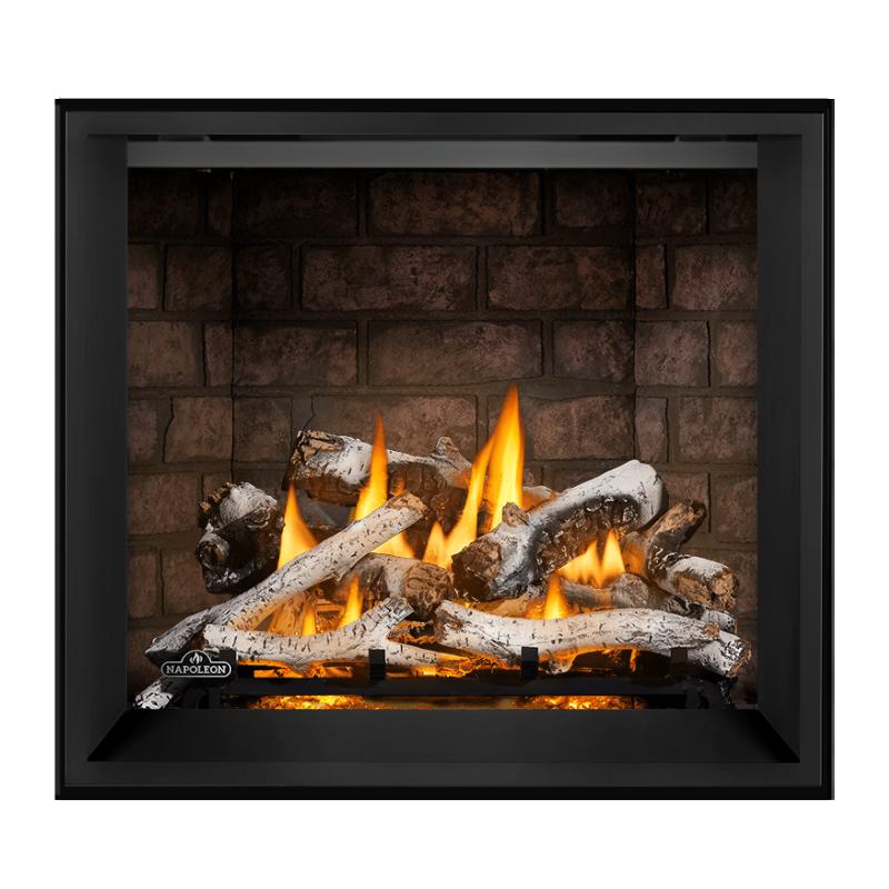 Napoleon Elevation X 36" Direct Vent Fireplace | EX36