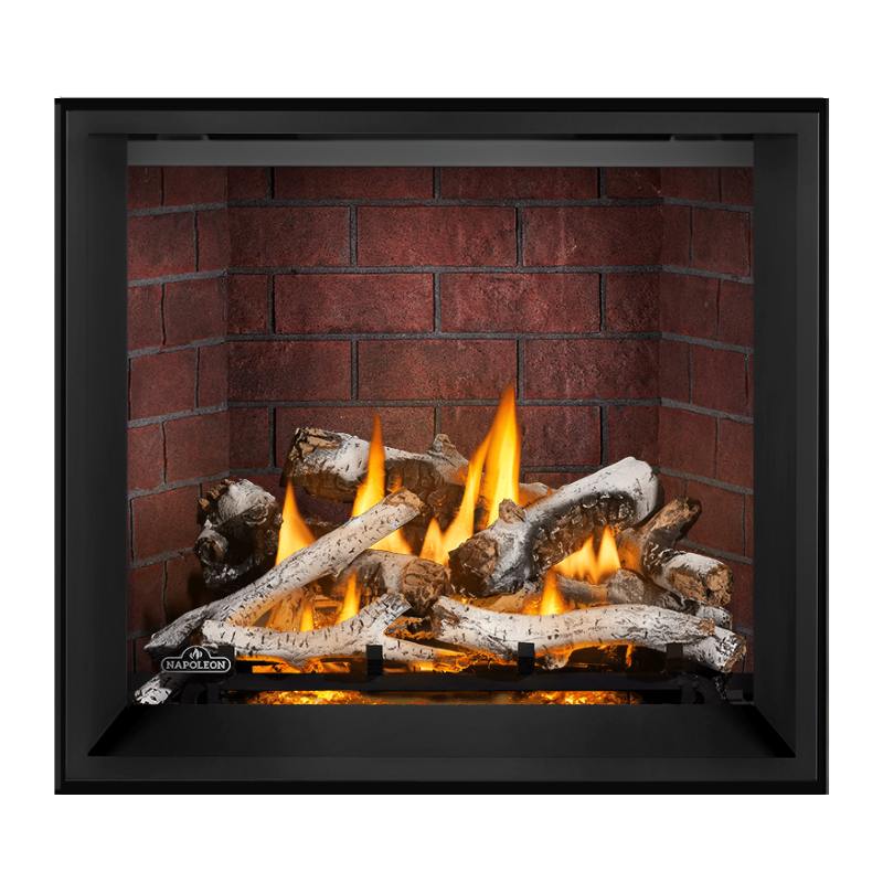 Napoleon Elevation X 36" Direct Vent Fireplace | EX36
