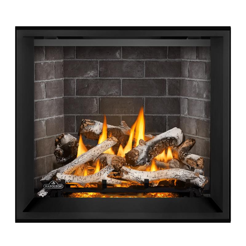 Napoleon Elevation X 36" Direct Vent Fireplace | EX36