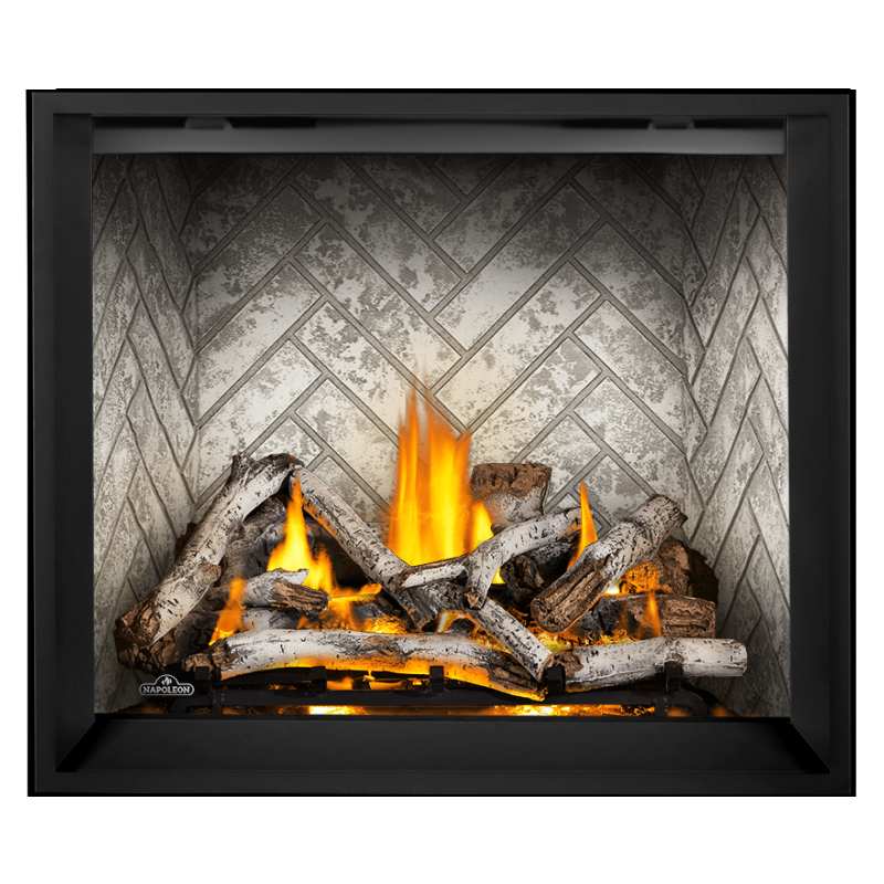 Napoleon Elevation X 42" Direct Vent Fireplace | EX42
