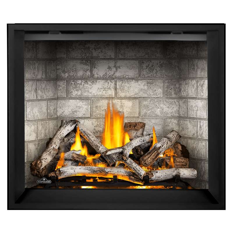 Napoleon Elevation X 42" Direct Vent Fireplace | EX42