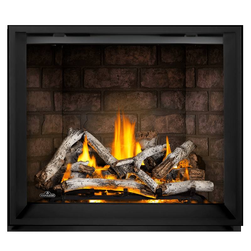 Napoleon Elevation X 42" Direct Vent Fireplace | EX42