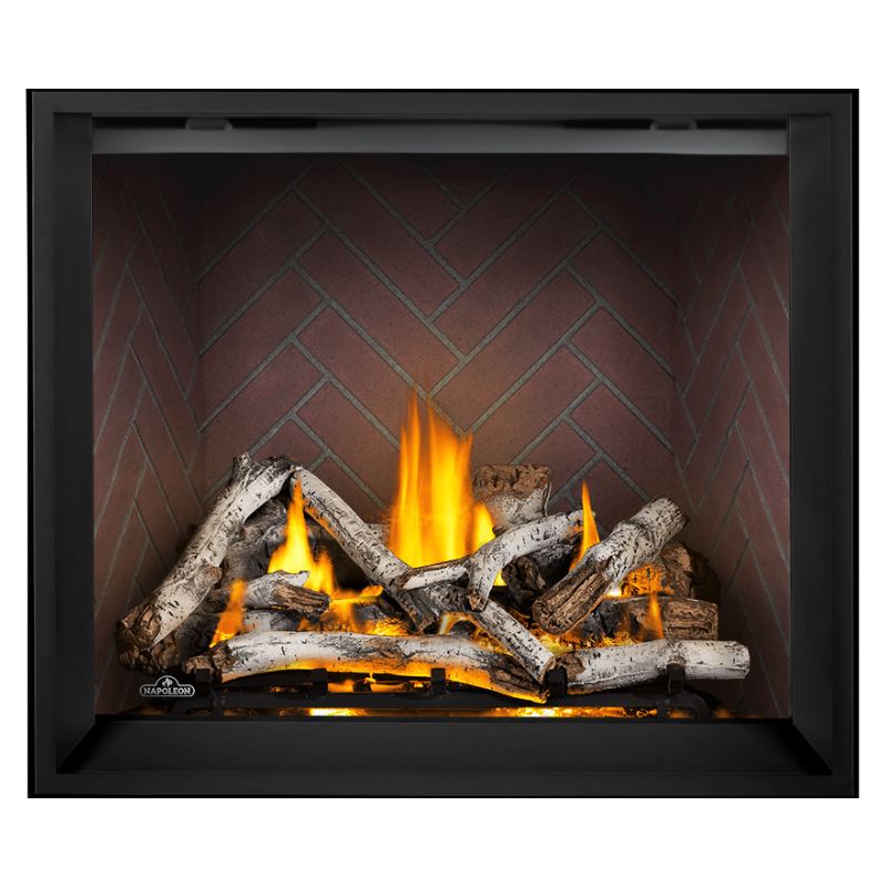 Napoleon Elevation X 42" Direct Vent Fireplace | EX42