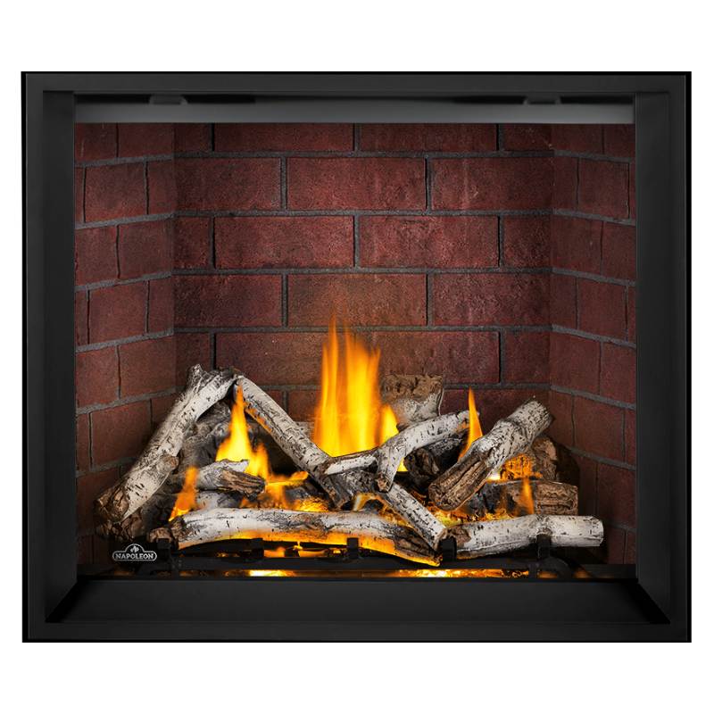 Napoleon Elevation X 42" Direct Vent Fireplace | EX42