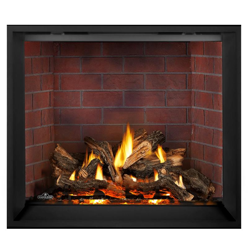 Napoleon Elevation X 42" Direct Vent Fireplace | EX42
