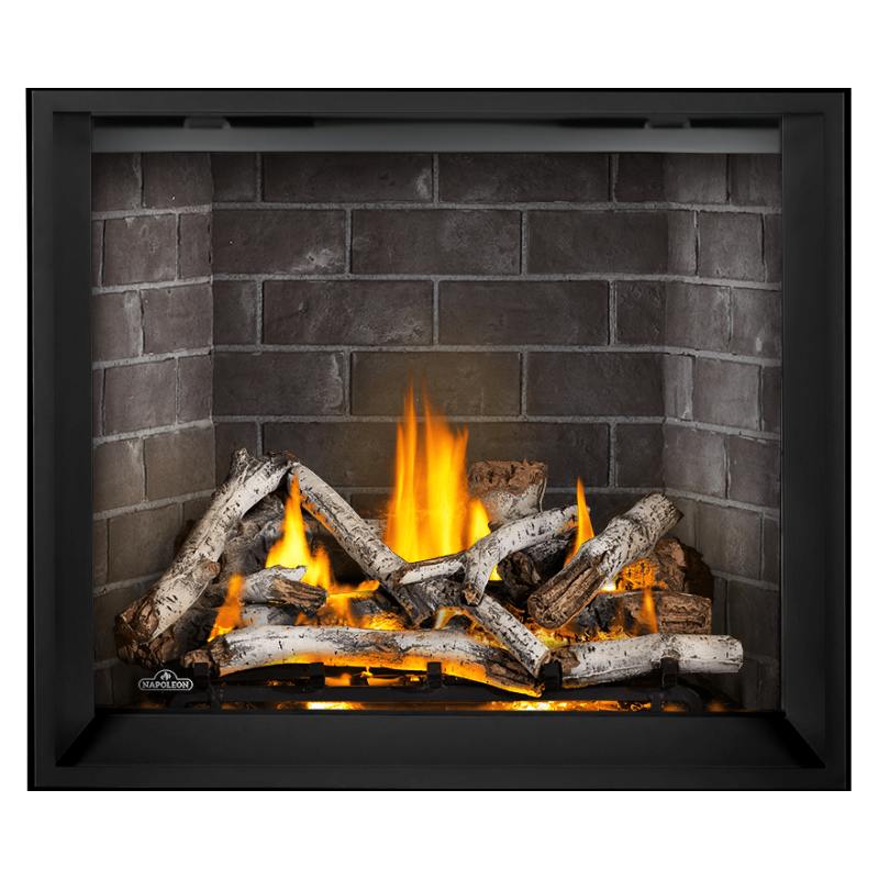 Napoleon Elevation X 42" Direct Vent Fireplace | EX42