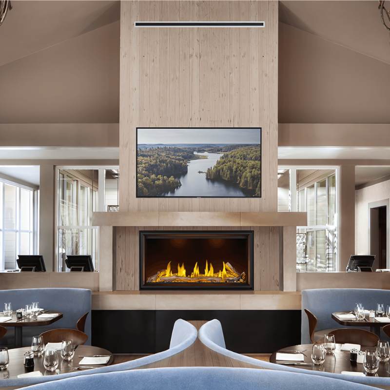 Napoleon Tall Vector 50" Linear Direct Vent Gas Fireplace | TLV50N
