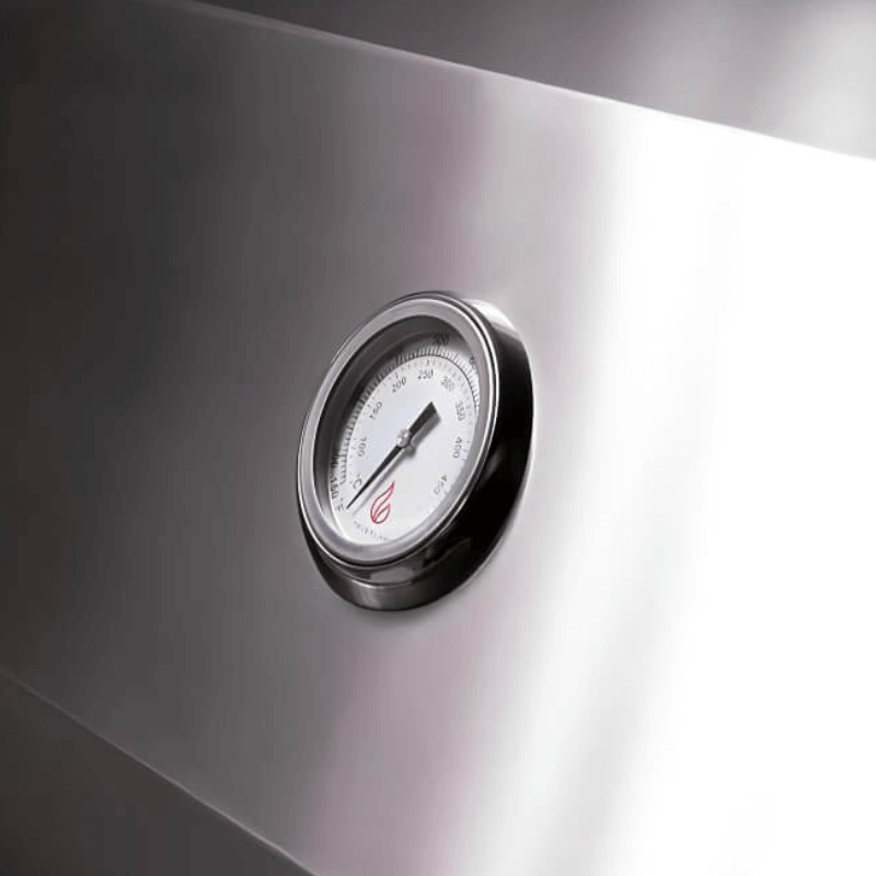 TrueFlame 32 Inch 4 Burner Built-In Gas Grill