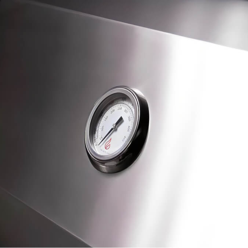 TrueFlame 40 Inch 5 Burner Built-In Gas Grill