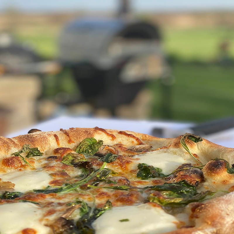 WPPO Karma 55 Inch Commercial Stainless Steel Wood Fired Pizza Oven - WKK-04COM-2