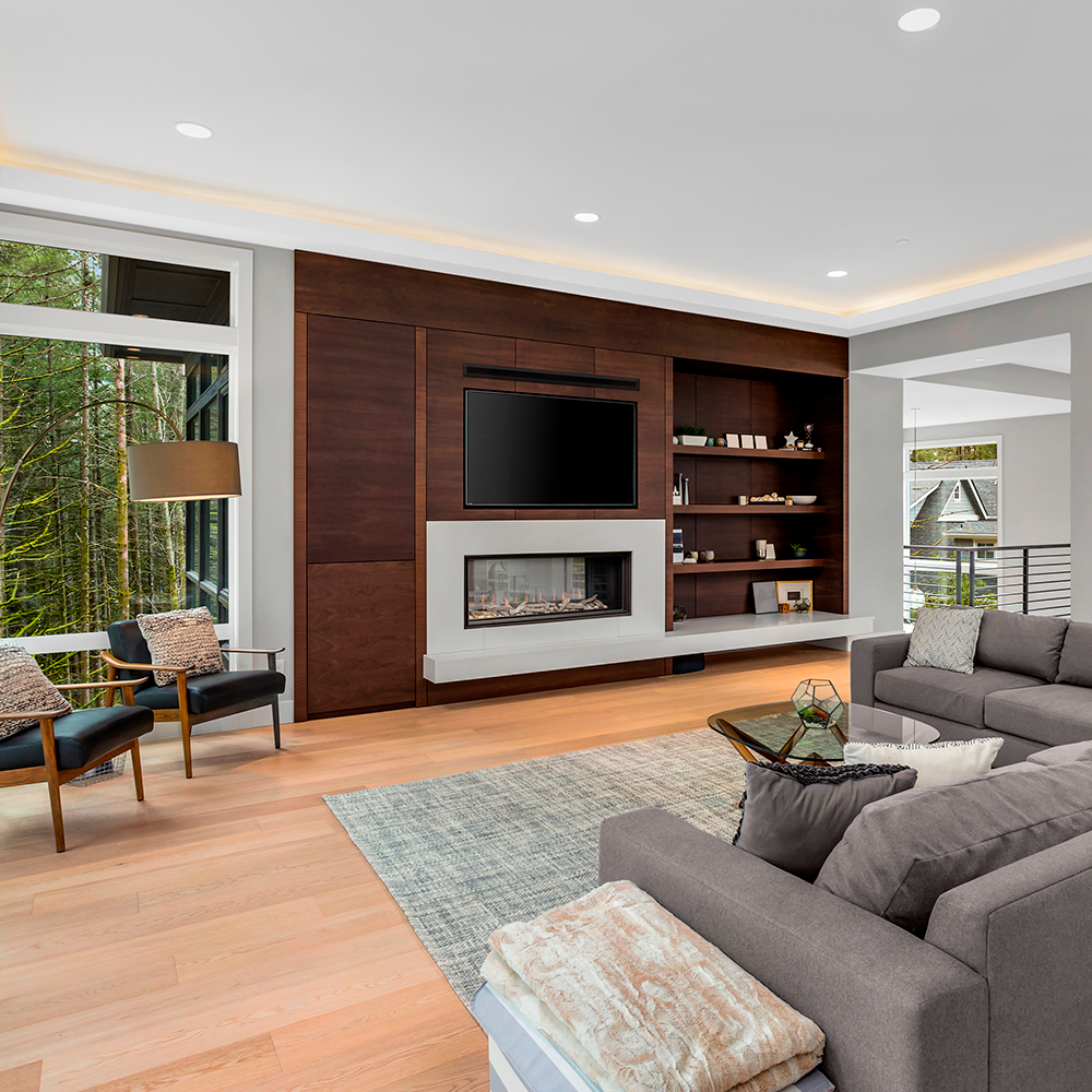 Montigo Distinction 48 See-Thru Direct-Vent Gas Fireplace - D4815NI-2