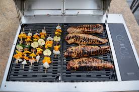 Kenyon | All Seasons Texan Built-In Electric Grill