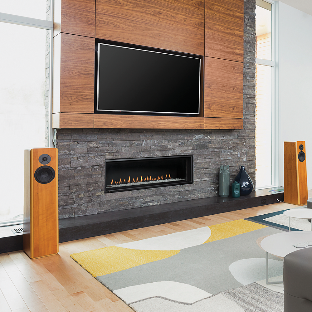 Montigo DelRay 48 Linear Direct-Vent Gas Fireplace - DRL4813NI