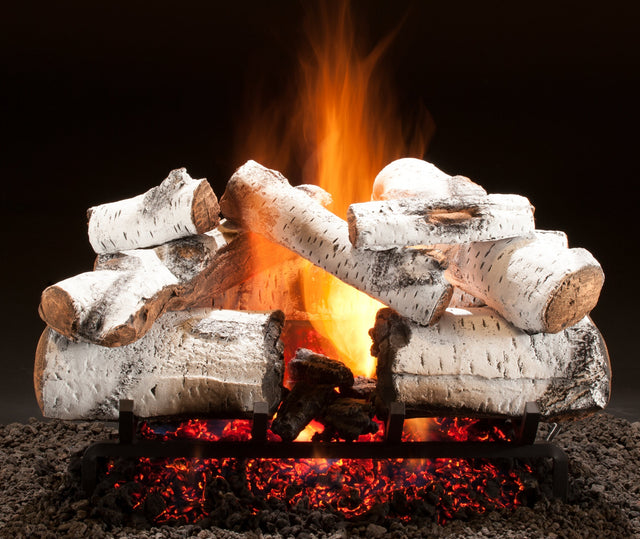 Hargrove 18-21 Inch See Through Vented Log Set Variable Flame with Remote - 18RNST1F5