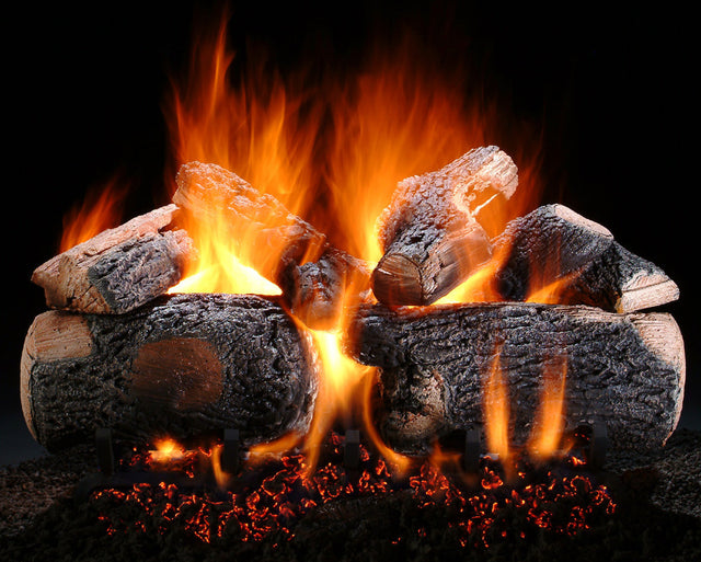 Hargrove 24 Inch Charred Series Vented Gas Log Set With Variable Flame Control - 24RNEB1F5