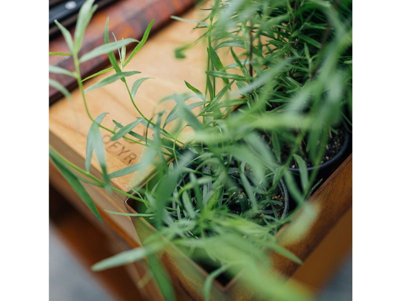 Ofyr Island Corten 100 PRO Teak Wood