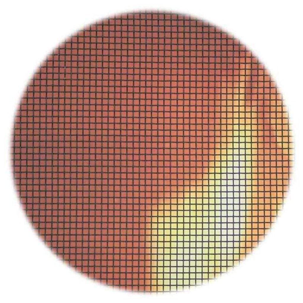 Pilgrim - SG Series Spark Guards (Custom Sizes Available)