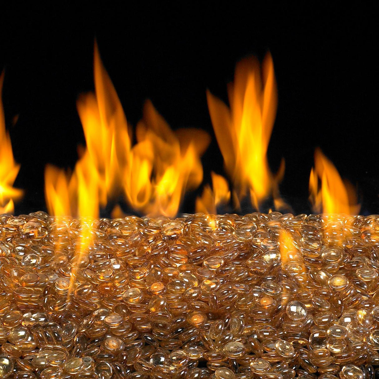 Peterson Real Fyre Champagne Glass Gems