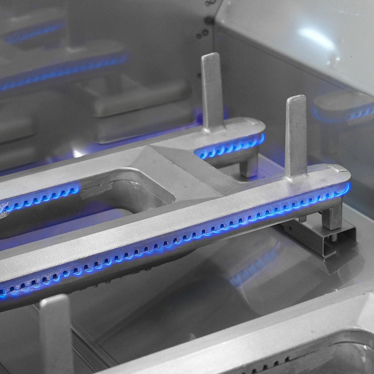 Fire Magic Echelon Diamond E660I 30-Inch Built-In Gas Grill Rotisserie & Digital Thermometer