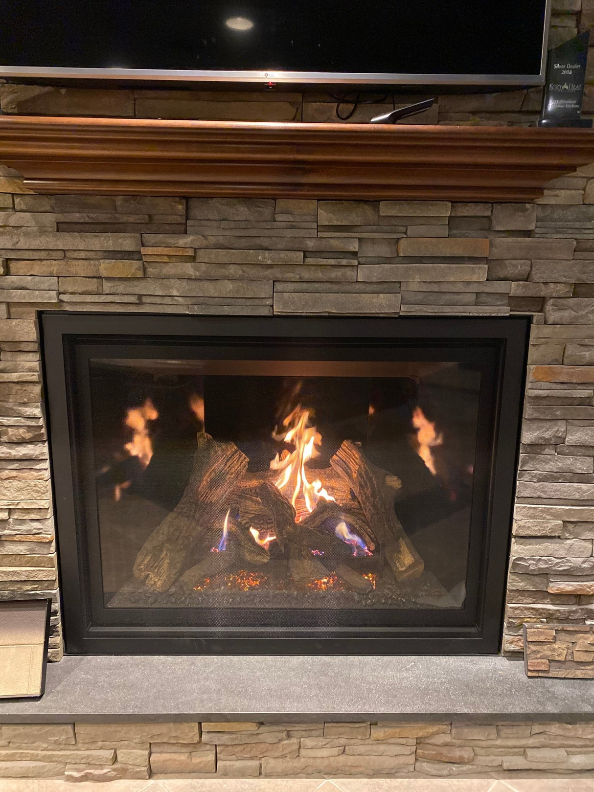 Kozy Heat Carlton 46 Direct Vent Gas Fireplace