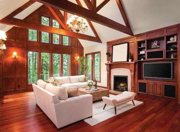 Napoleon Elevation X 36 Direct Vent Propane Gas Fireplace