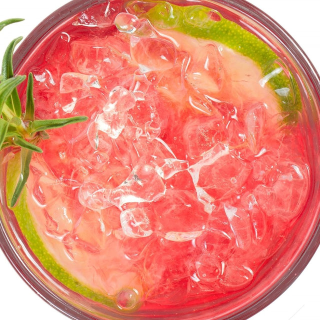 XO 15 Inch Undercounter Indoor Nugget Ice Maker with Drain Pump