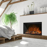 Fireplace Inserts