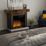Dimplex ASP30 Ignite Aspire 30" Built-In Electric Fireplace