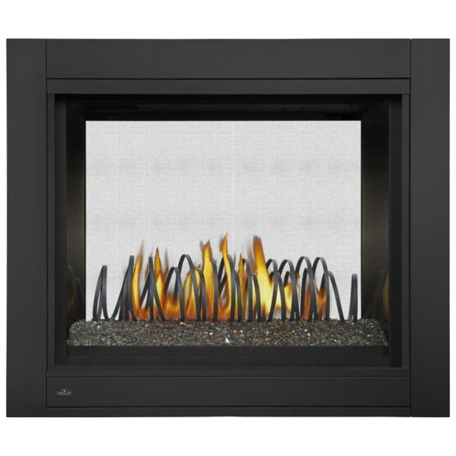 Napoleon Ascent Multi View See Thru Direct Vent Gas Fireplace | BHD4