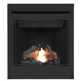 Napoleon Ascent 30 with Zen decorative front