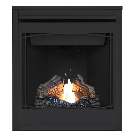 Napoleon Ascent 30 with Zen decorative front