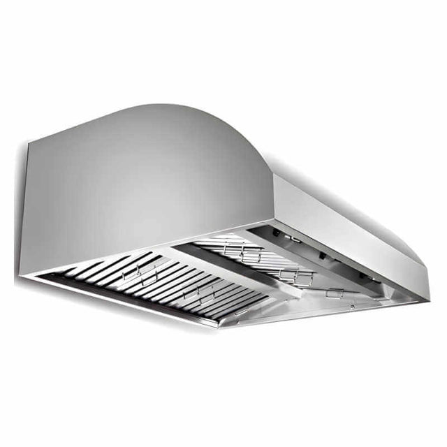 Blaze 42-Inch 2000 CFM Stainless Steel Outdoor Vent Hood - BLZ-42-VHOOD