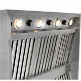 Blaze 42-Inch 2000 CFM Stainless Steel Outdoor Vent Hood - BLZ-42-VHOOD