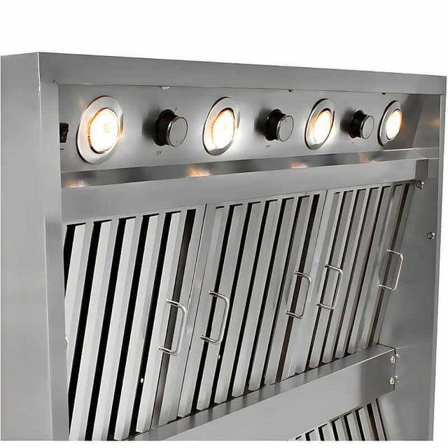 Blaze 42-Inch 2000 CFM Stainless Steel Outdoor Vent Hood - BLZ-42-VHOOD