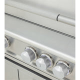 Blaze LTE Pro 40-Inch 5 Burner Built-In Gas Grill