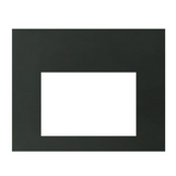 Majestic Jasper 30 Direct Vent Gas Insert - JASPER30IN