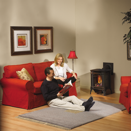 Napoleon Arlington GDS20 direct vent gas stove