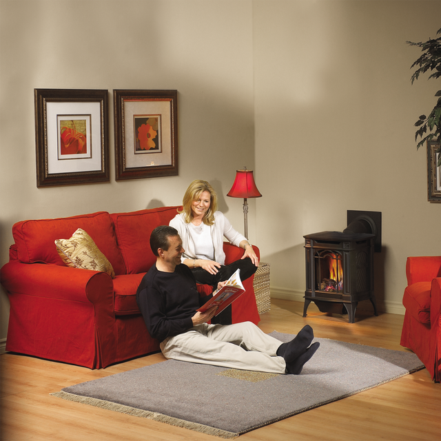 Napoleon Arlington GDS20 direct vent gas stove